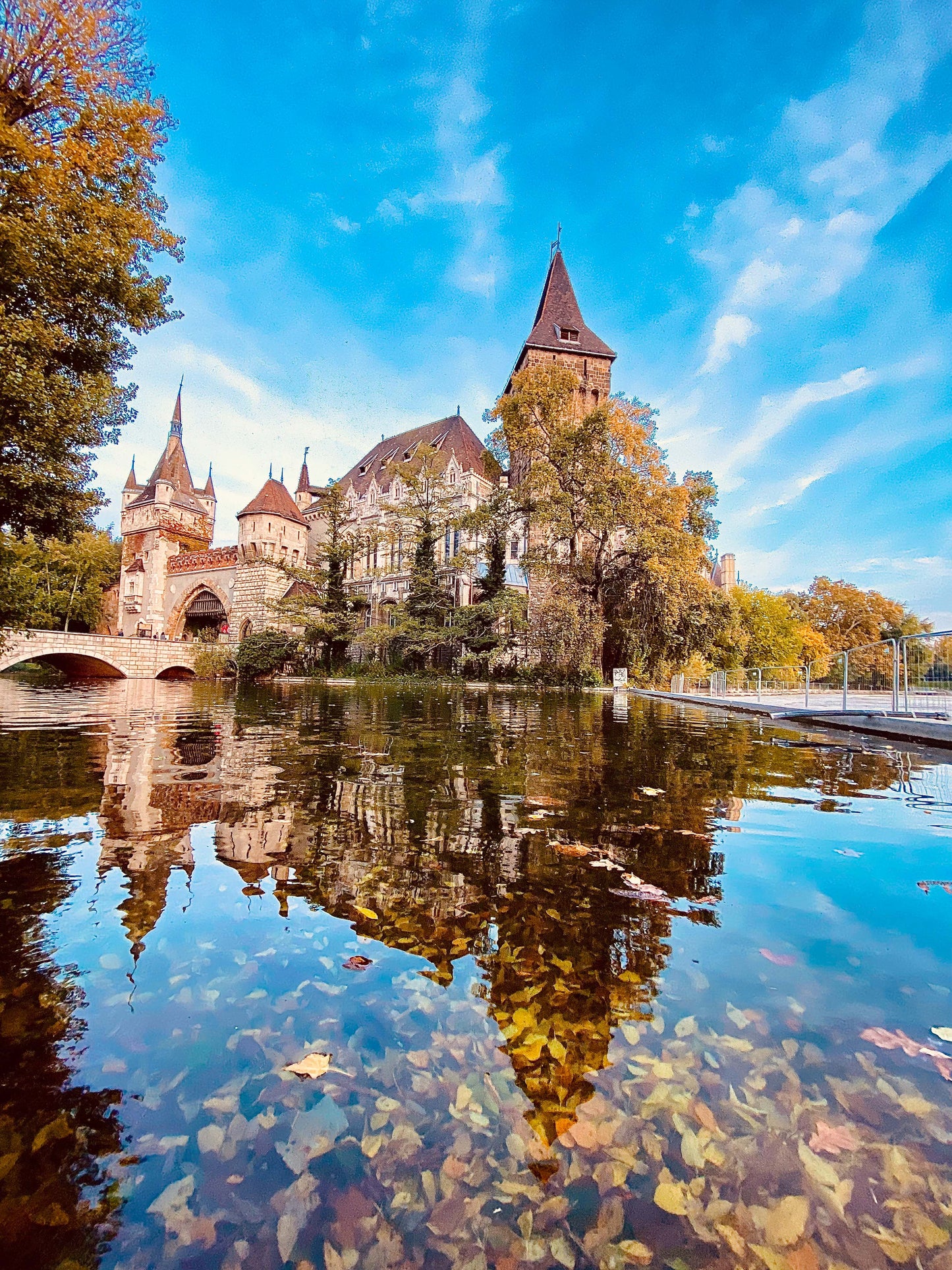 See The World in Portrait Mode Book