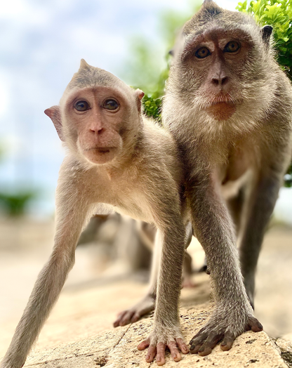 See the World in Portrait Mode